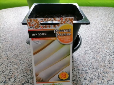 Как успешно вырастить лук-порей: секреты и советы