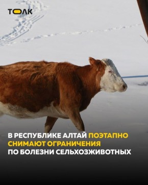 � ���������� ����� ����� �������� �� ������������ � 72 ������