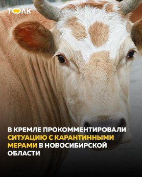 � ������ ����������������� �������� � �������� ������������ ����� � ������