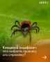 Застраховаться или вакцинироваться? Сколько стоит защита от клещевого энцефалита в Барнауле