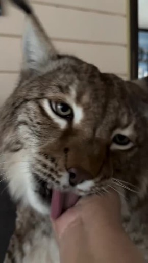 ������ ����, ��������� ����!�