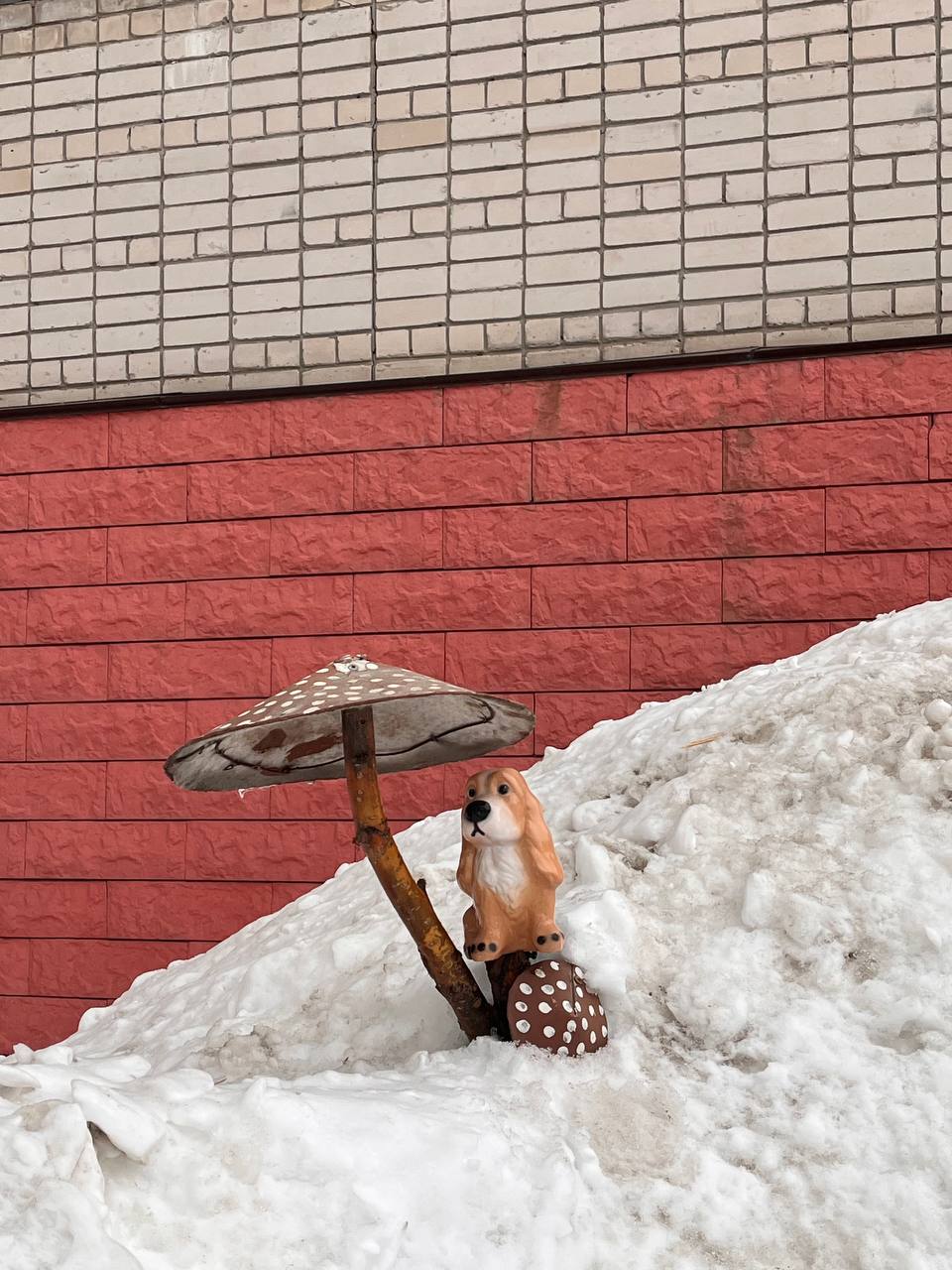 Алтайский край ждет теплая и солнечная суббота! Алтайский край ждет теплая и солнечная суббота!