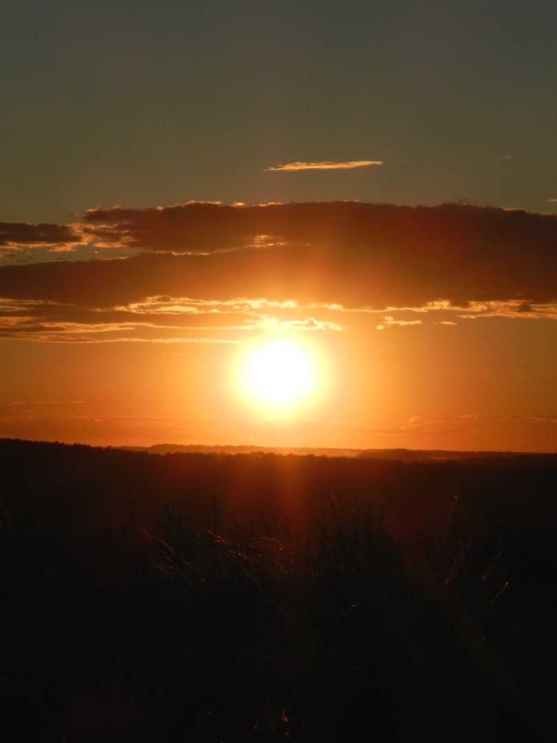 В России наступила астрономическая весна