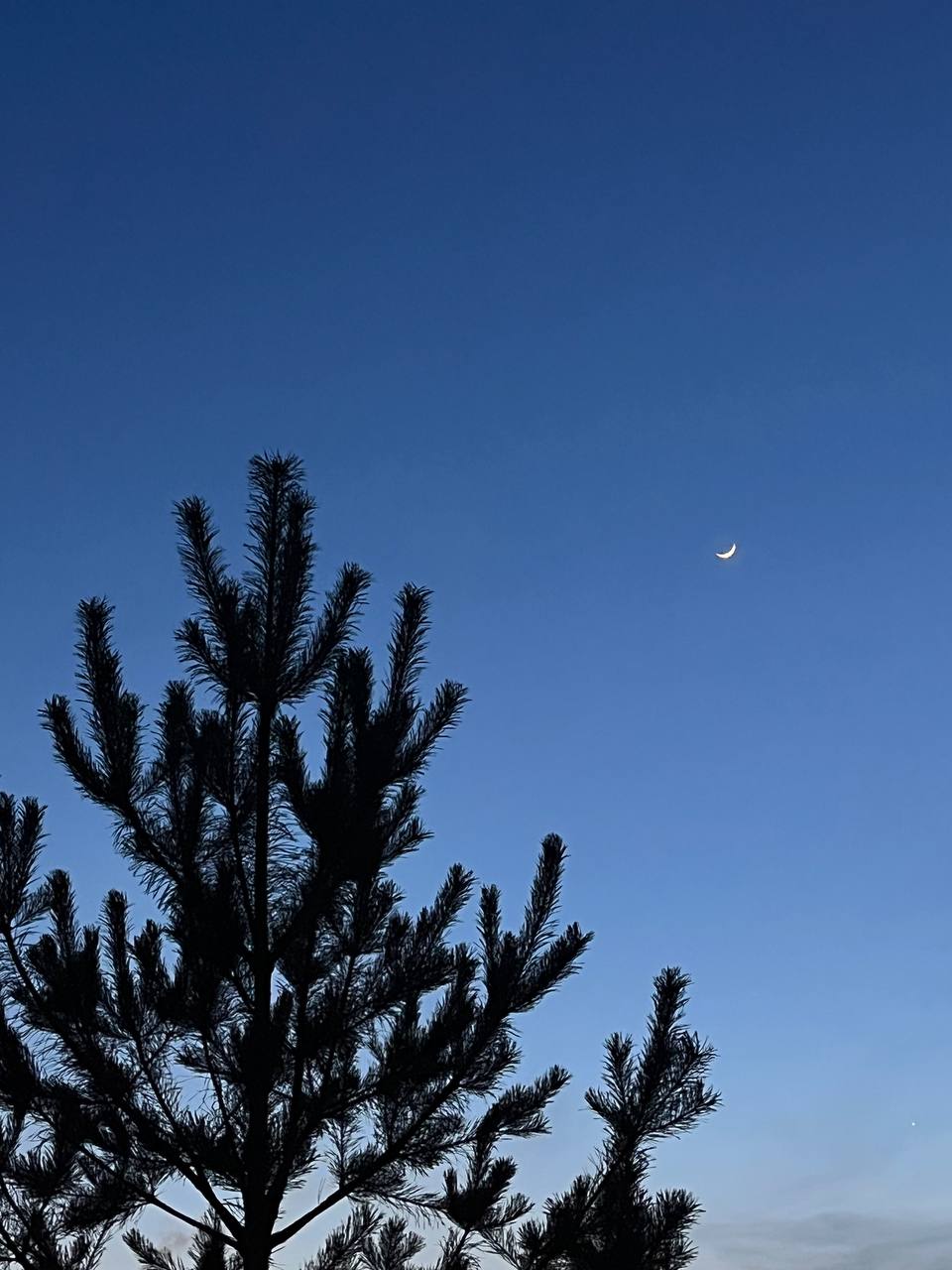 Всем удачного воскресенья и хорошего настроения! Всем удачного воскресенья и хорошего настроения!