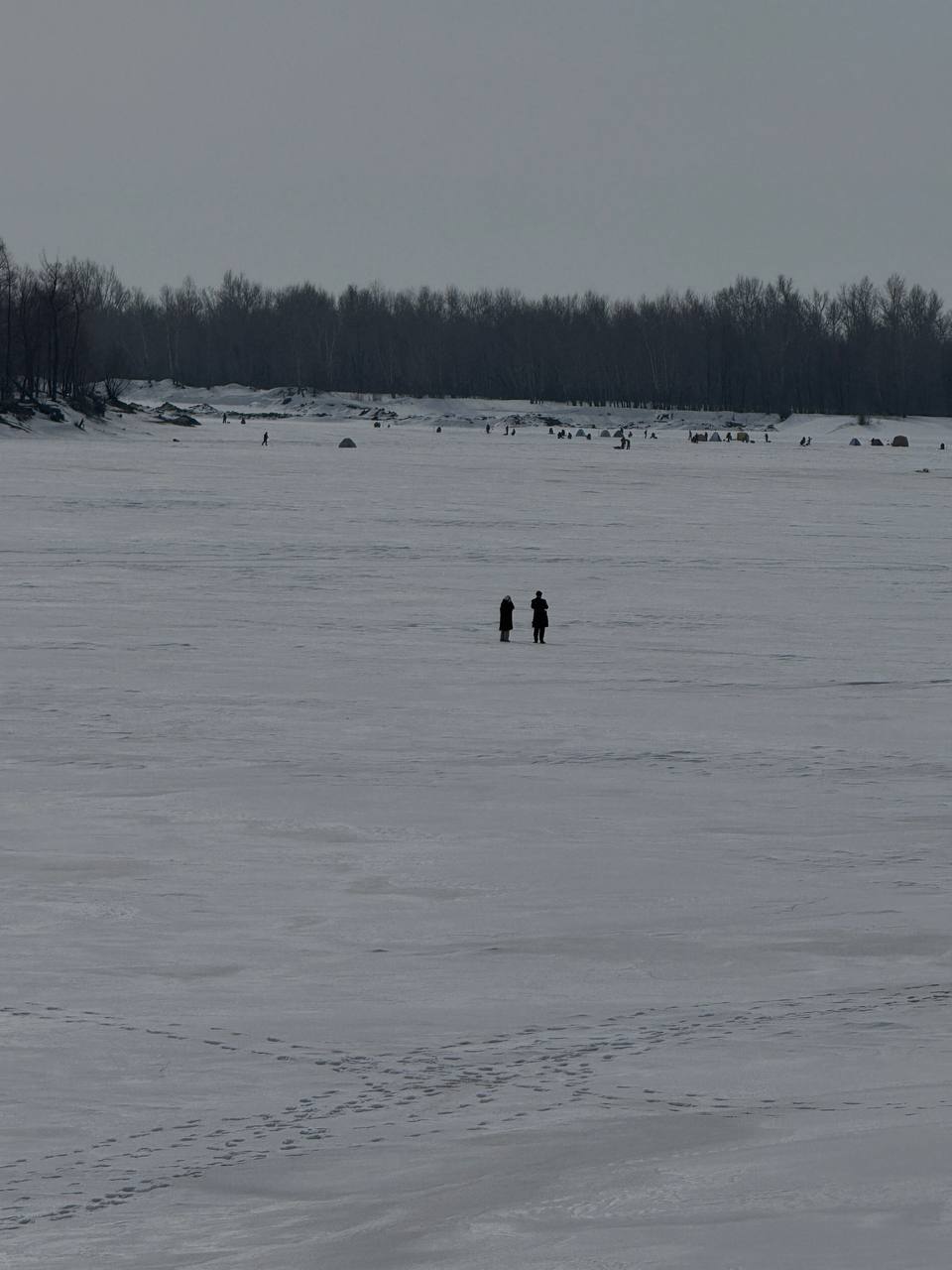 Бесстрашные люди гуляют по Оби