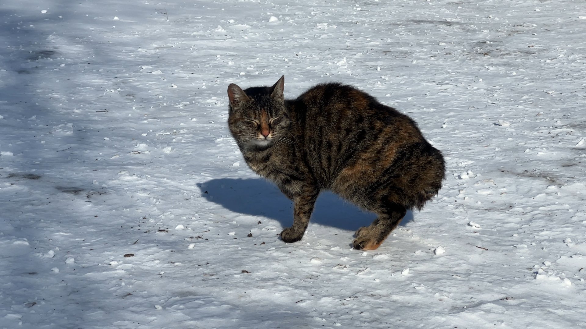Корреспондент «Катунь 24» Анастасия Парфенова съездила в Ребрихинский район, чтобы познакомиться с сельской жизнью Корреспондент «Катунь 24» Анастасия Парфенова съездила в Ребрихинский район, чтобы познакомиться с сельской жизнью