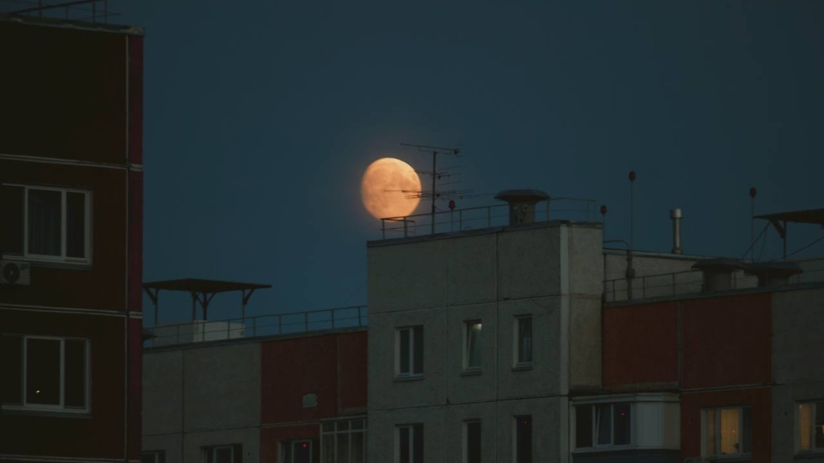 Как продлить жизнь утюгу и сделать глажку легкой и приятной