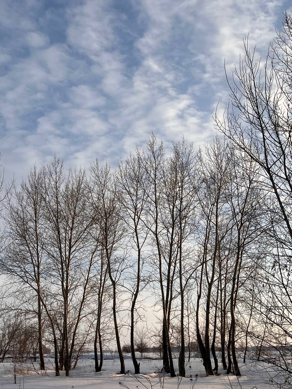 Доброе утро и хорошего всем понедельника! Новая рабочая неделя начнётся с тепла до +6 и тумана Доброе утро и хорошего всем понедельника! Новая рабочая неделя начнётся с тепла до +6 и тумана