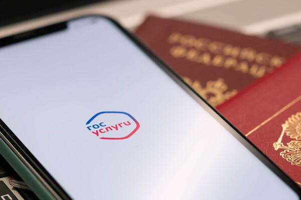 В Госдуме предложили ввести уголовную ответственность за сайты-двойники власти