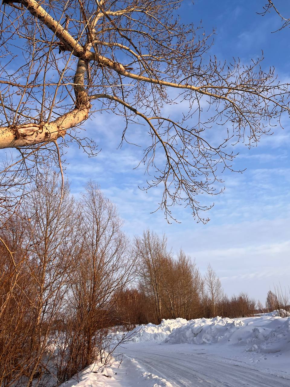 Доброе утро и хорошего всем понедельника! Новая рабочая неделя начнётся с тепла до +6 и тумана Доброе утро и хорошего всем понедельника! Новая рабочая неделя начнётся с тепла до +6 и тумана