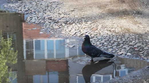 � ������ 24 ����� ����� ���������� ����������, �������� ����