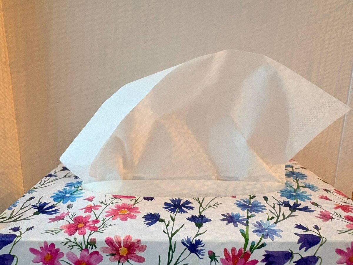 Экологи предупредили: почему влажные салфетки не место в унитазе