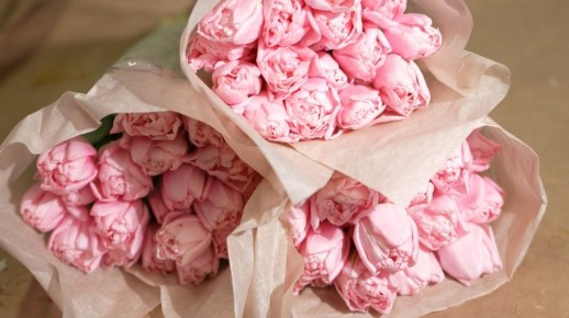 ����� 8 ����� ������� ���������� ���� �������� ������� ���������������� ��������