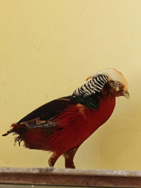 �������� ����� ��������� � ������������ ��������