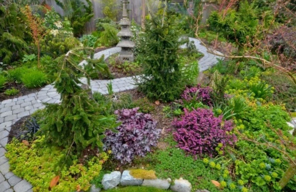 Преображение вашего сада: создаем красивый хвойный цветник