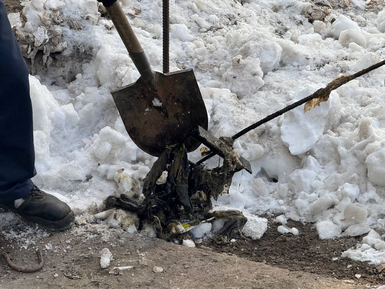 Канализация — не мусорное ведро Канализация — не мусорное ведро