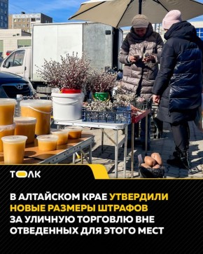 В Алтайском крае кратно повысили штрафы за стихийную торговлю