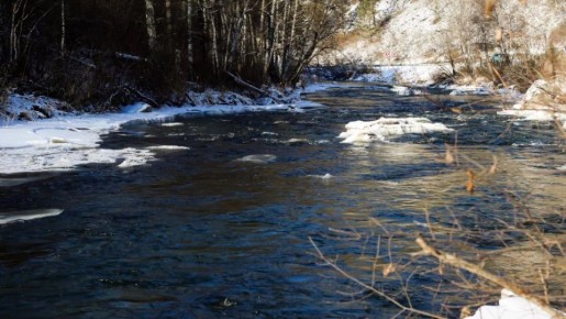 В Алтайском крае животновод сорвался с обрыва в реку и утонул