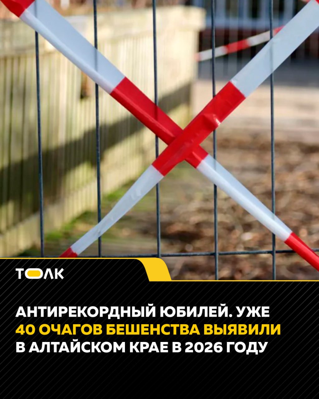 Уже 40 очагов бешенства выявили в Алтайском крае в 2026 году