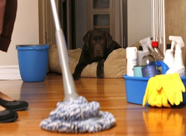 Как быстро и эффективно наведить порядок в квартире: 6 шагов к чистоте