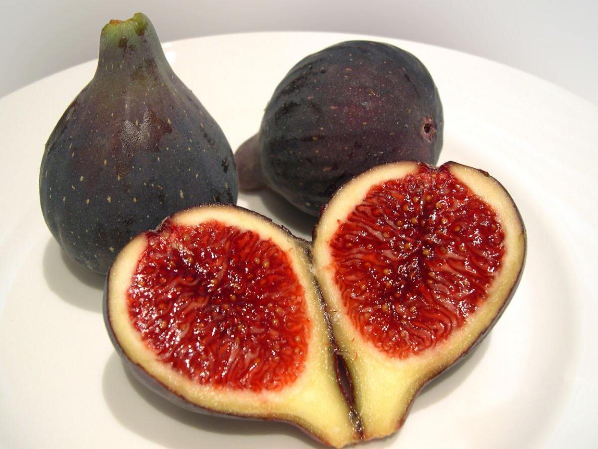 Фруктовые деревья для маленьких пространств: три лучших варианта для апрельской посадки