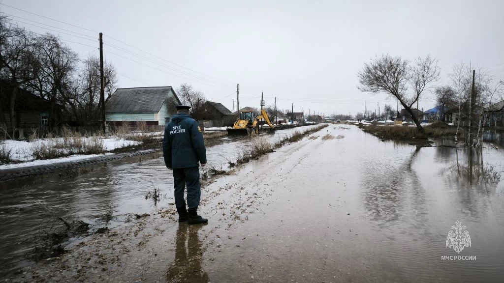 В режиме повышенной готовности
