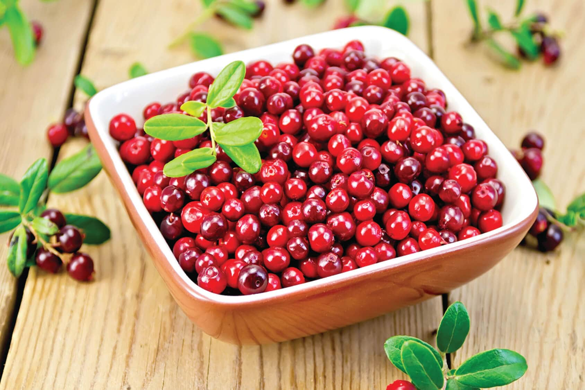 Ягоды на зиму: секреты сохранения брусники и клюквы