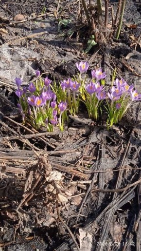 ������� �������� � ��������� ����