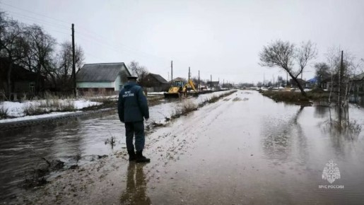 Талой водой в Алтайском крае начало топить дворы и залило мост