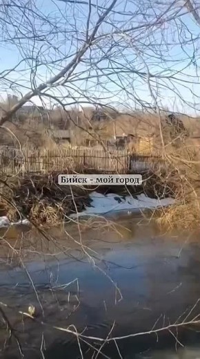 Верховья "Дуная". Бийчане сообщают, что сезонная река потекла