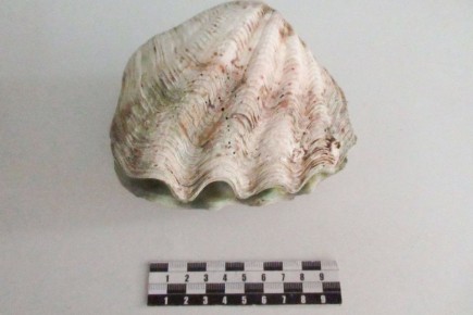 1 ��������� ����� �� ����� � �������� �������� ��������, �� ������� ������ �� ��� ������ � ��