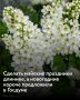 Увеличить майские праздники за счет новогодних предложили в Госдуме