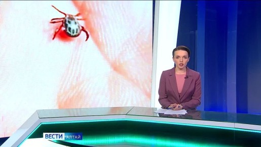 � �������� ������������� ������ ���� ������ ���� �����