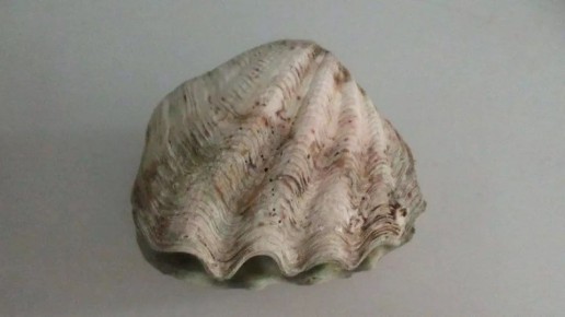 ������ ������� ���������� ��������� ����������� � ������ �������