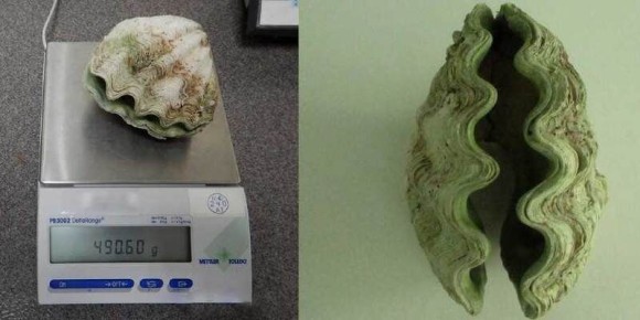 � ��������� �������� ��������� ������� � ������ ������� ��������� �� ��������