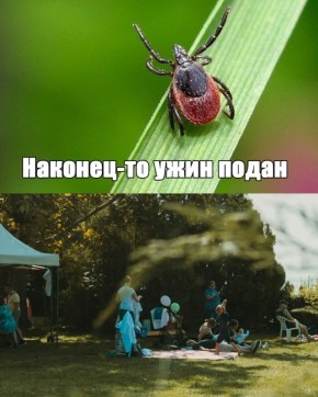 ������ �����: � �������� ���������������� ������ ������ ������������ �����