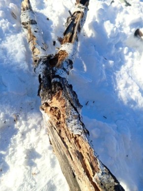 � ����� "����������" ��������� �������� ������� ��������� ��������