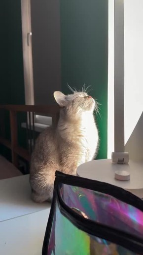 Доброе утро, Алтайский край!