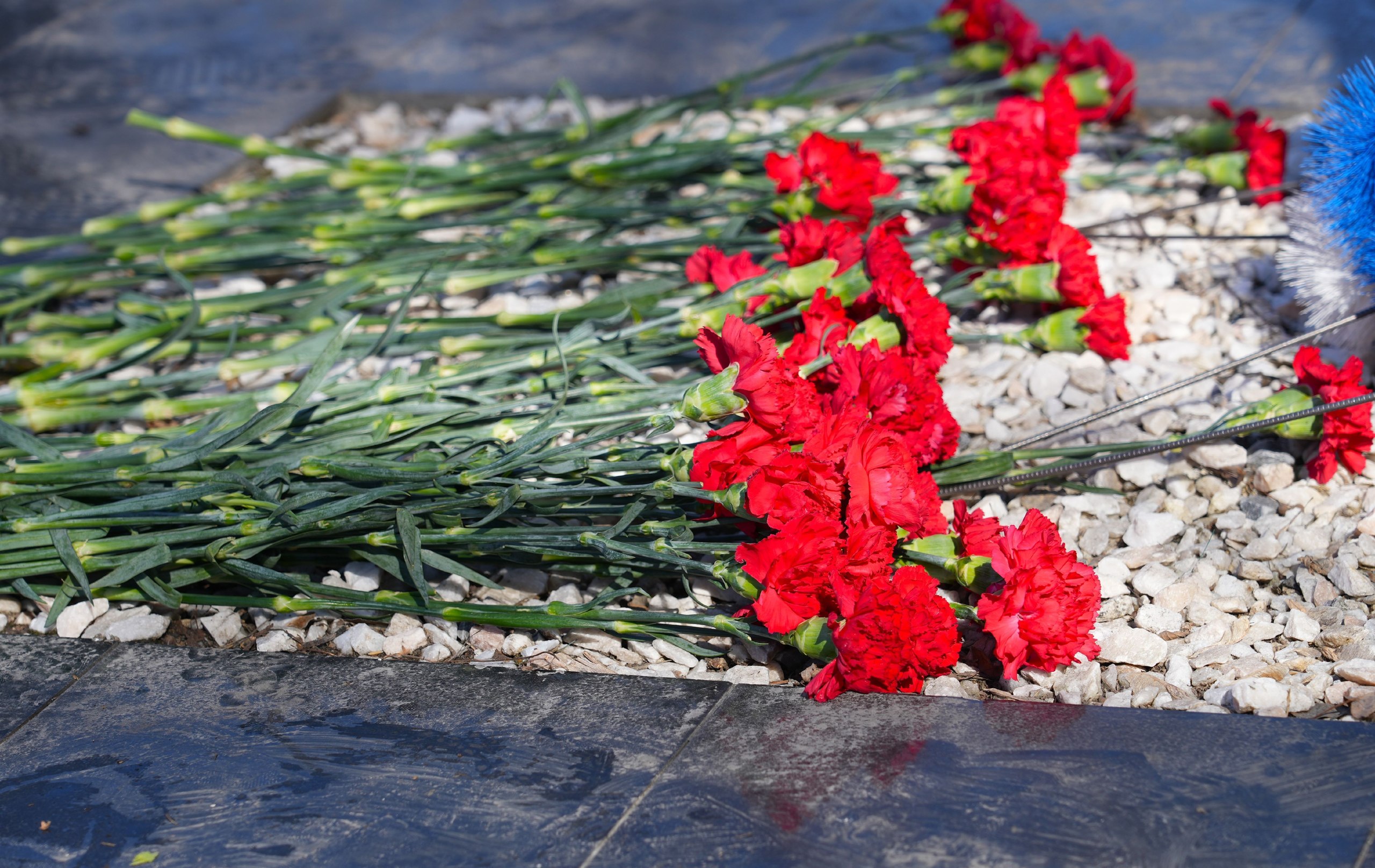 Бийск присоединился к Всероссийской патриотической акции Бийск присоединился к Всероссийской патриотической акции