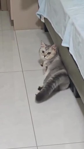 Доброе утро, Алтайский край!