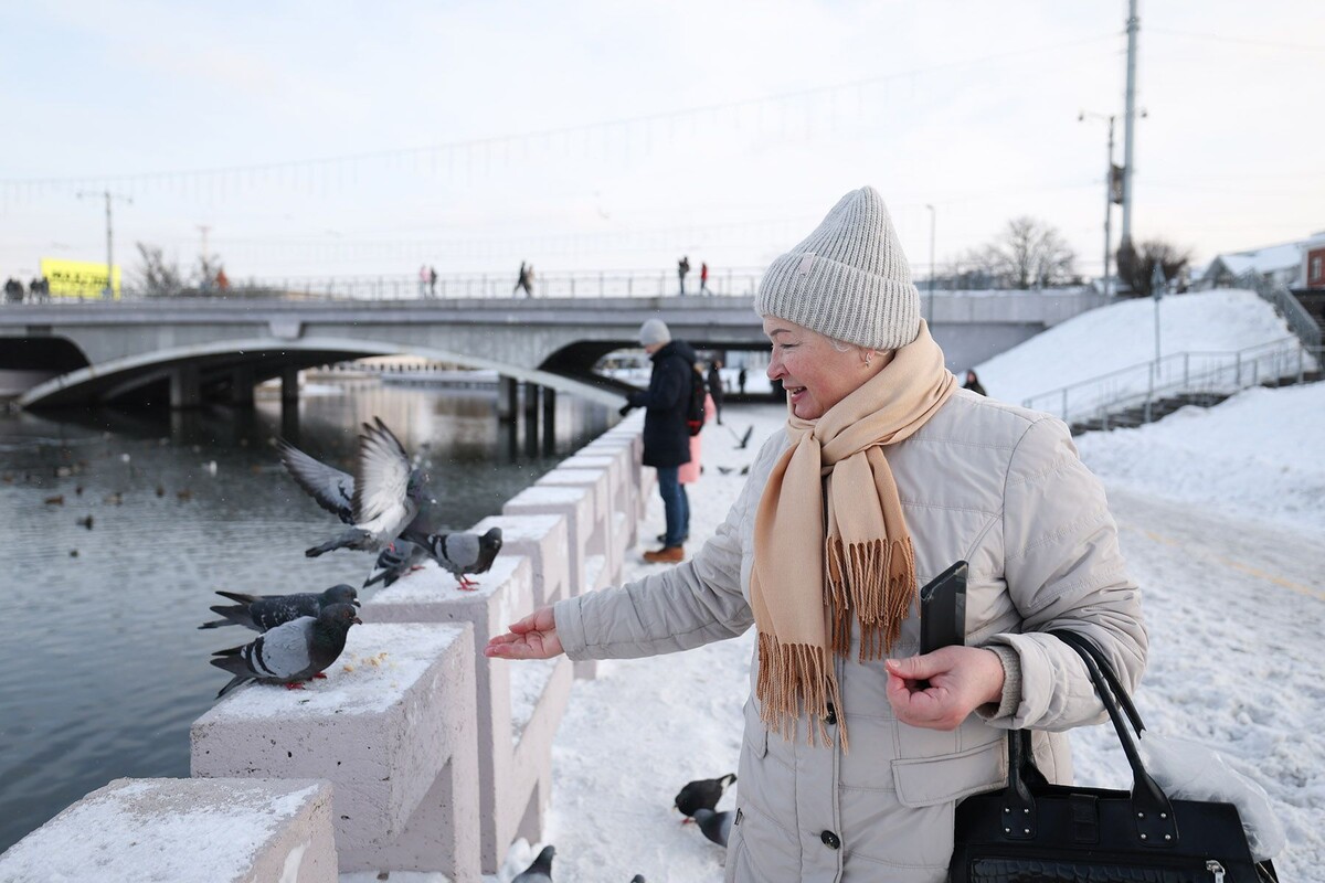 Кто сможет получить пенсию за пять лет работы: разъяснения Минтруда