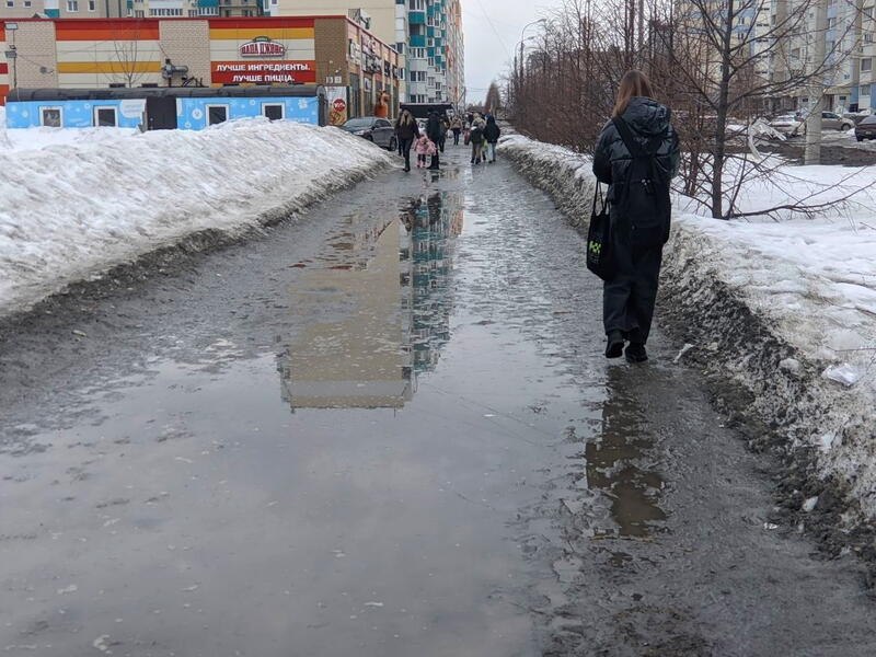 Лужасы нашего городка! Как Барнаул "поплыл" с приходом тепла Лужасы нашего городка! Как Барнаул "поплыл" с приходом тепла