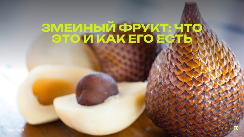 ������� �����: ������������ ����� � ������ � ��� �����