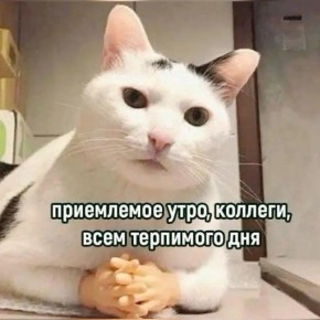 ������ ����, ��������� ����!