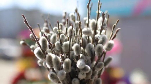 ������� ��������� � ���������� ����������