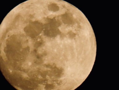 ������ ����, ��������!. ���� ����� ���� �������� ��� ����������