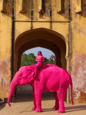 ���� ���� ����� "������� ����������", ���������� ���������� � �����