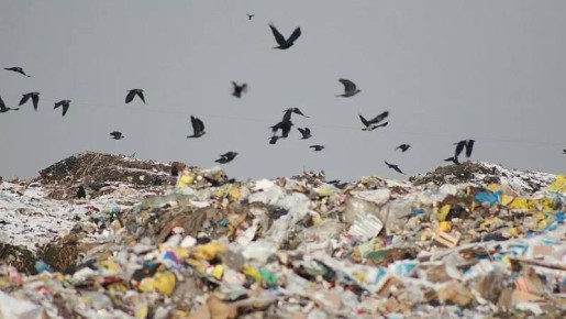 ����������� ������ � ������ "����������" � ��������� ������ �����������