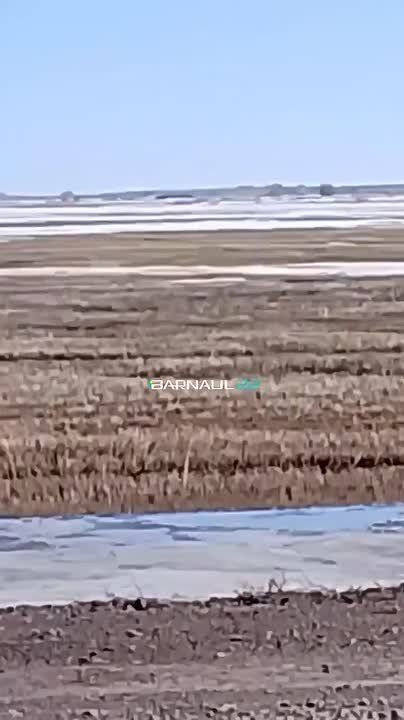 ������ ����� �����. ������ ������� ��������� � ��������� ����