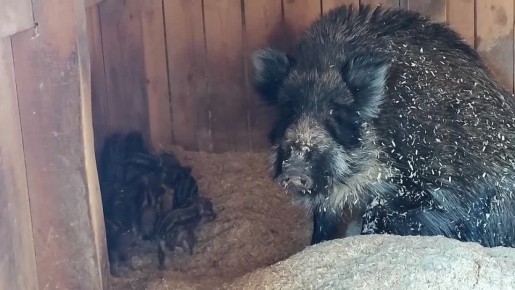 � ����� ����� ������� �� ������������� �������� � ����������!